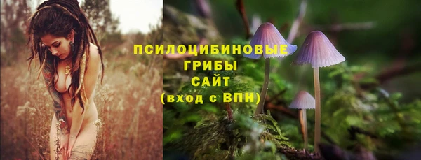 мяу мяу мука Белоозёрский