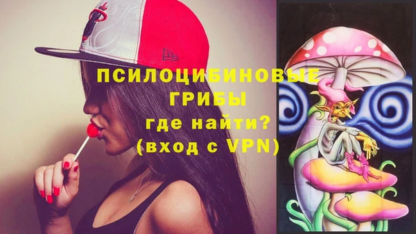 спайс Белокуриха